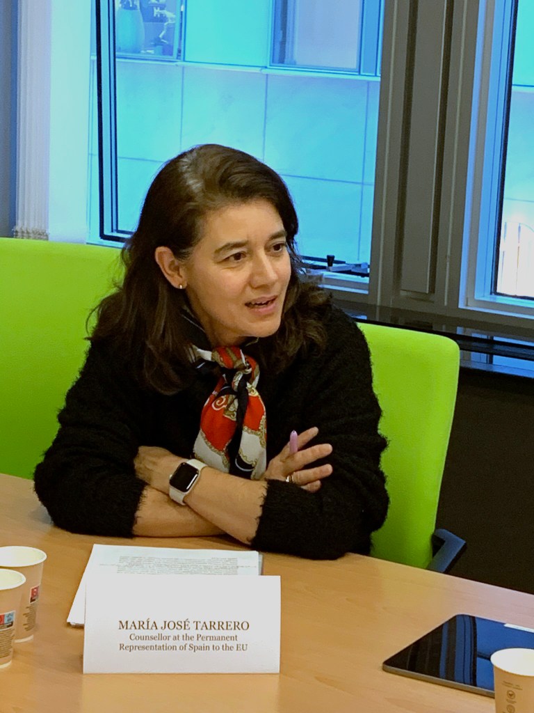 AGE Manifesto launched at the European Parliament